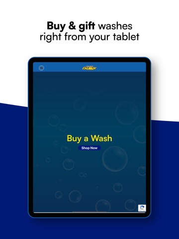MLA Auto Spa Car Wash iPad screenshot