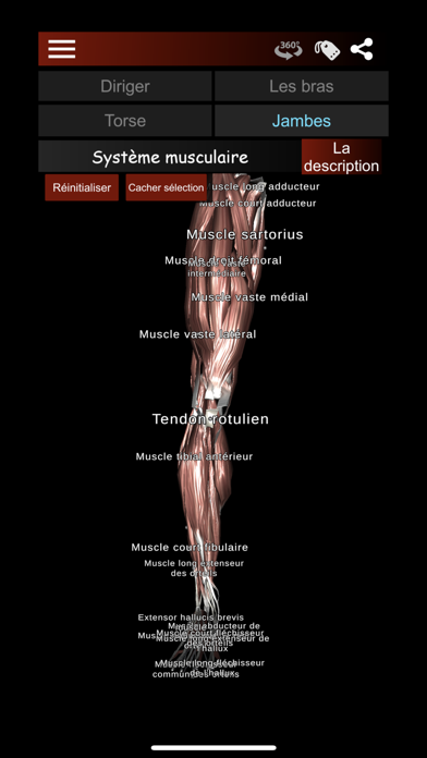 Screenshot #3 pour Système Musculaire 3D Anatomie