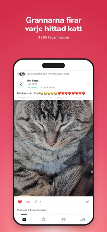 Kattkompis iPhone screenshot 4