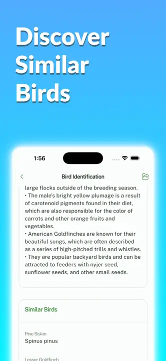Bird Identifier, Bird Id: Screenshot 5 von 10