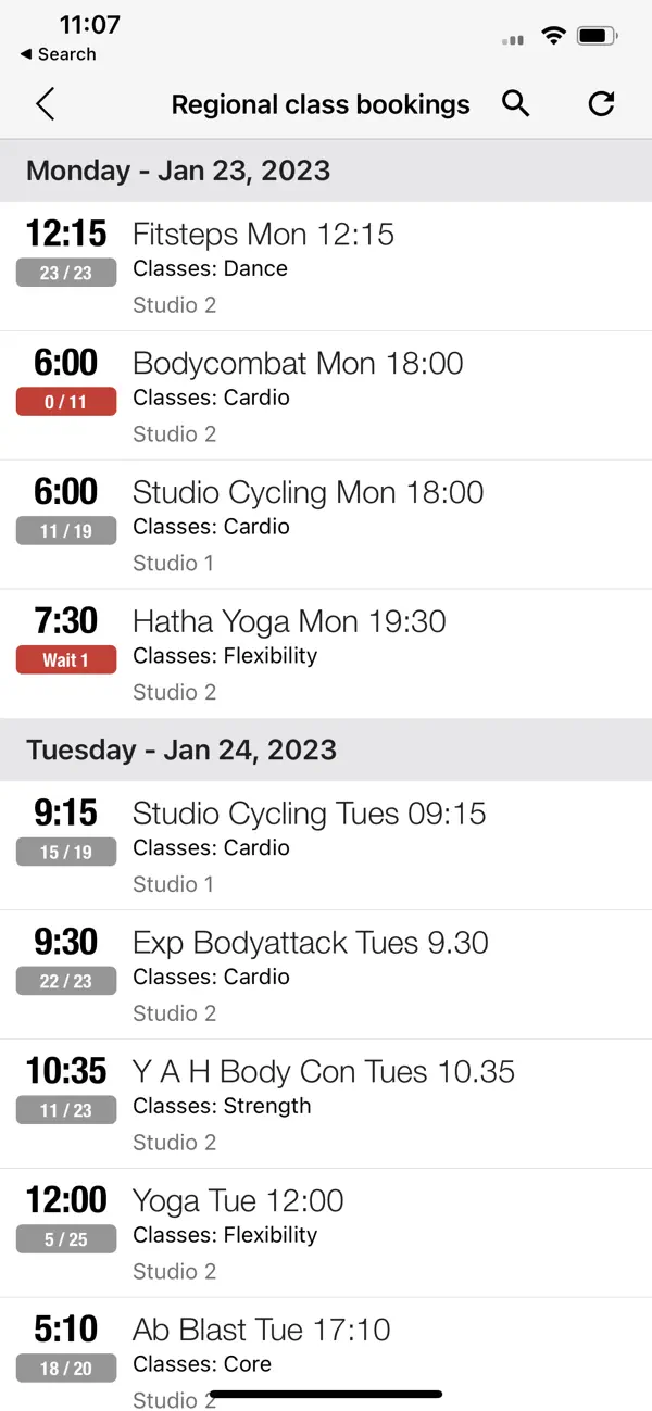 Screenshot #2 pour Vivacity Leisure