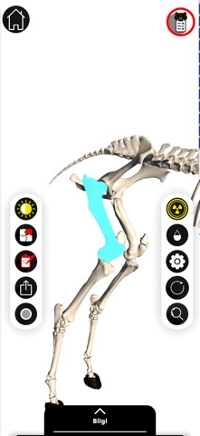 Spectre Vet Screenshot 5 of 7