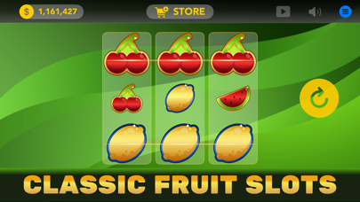 Wild Fruit Slot Screenshot