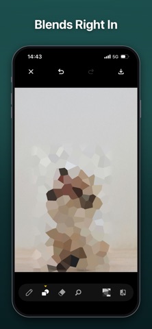 Mosaic / Blur Photo Screenshot 6 of 7