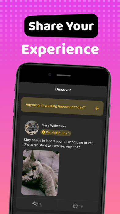 MEOW - VIDEO CHAT & LIVE SHARE Screenshot