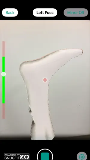 Springer 3D Scan screenshot 1