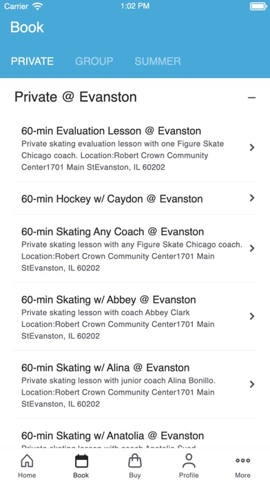 Figure Skate Chicago Screenshot