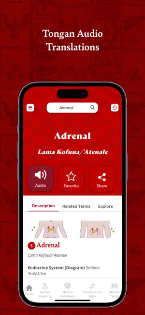 Tala 'Uhinga Fakafaito'o screenshot 2