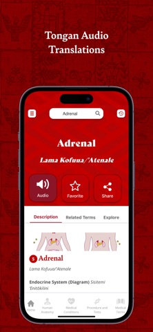 Tala 'Uhinga Fakafaito'o Screenshot 2 of 5