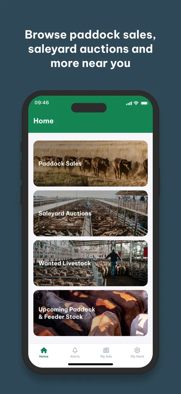 Screenshot #1 pour The Herd