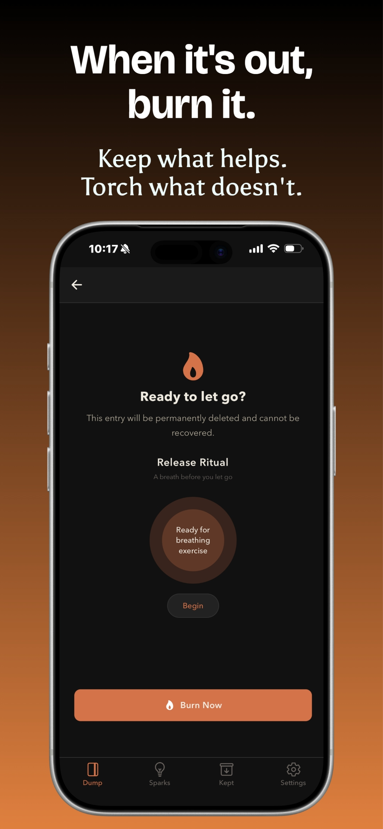 Ember: Rant and Burn Journal screenshot 3