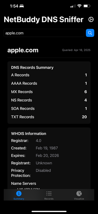 NetBuddy DNS Sniffer Screenshot 3 of 5