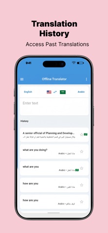 Offline AI Language Translator screenshot