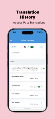 Offline AI Language Translator screenshot 3
