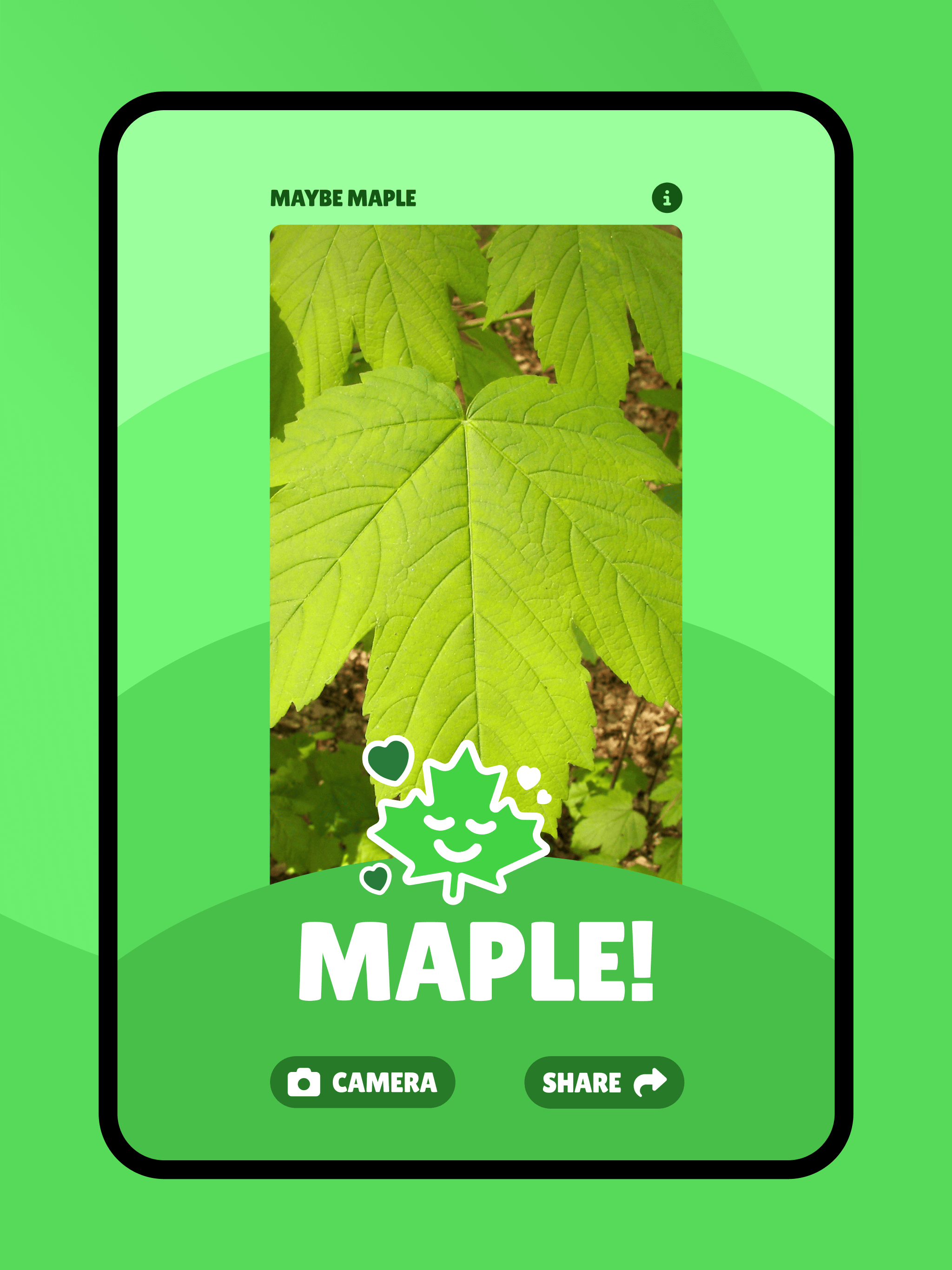 Maybe Maple screenshot 8