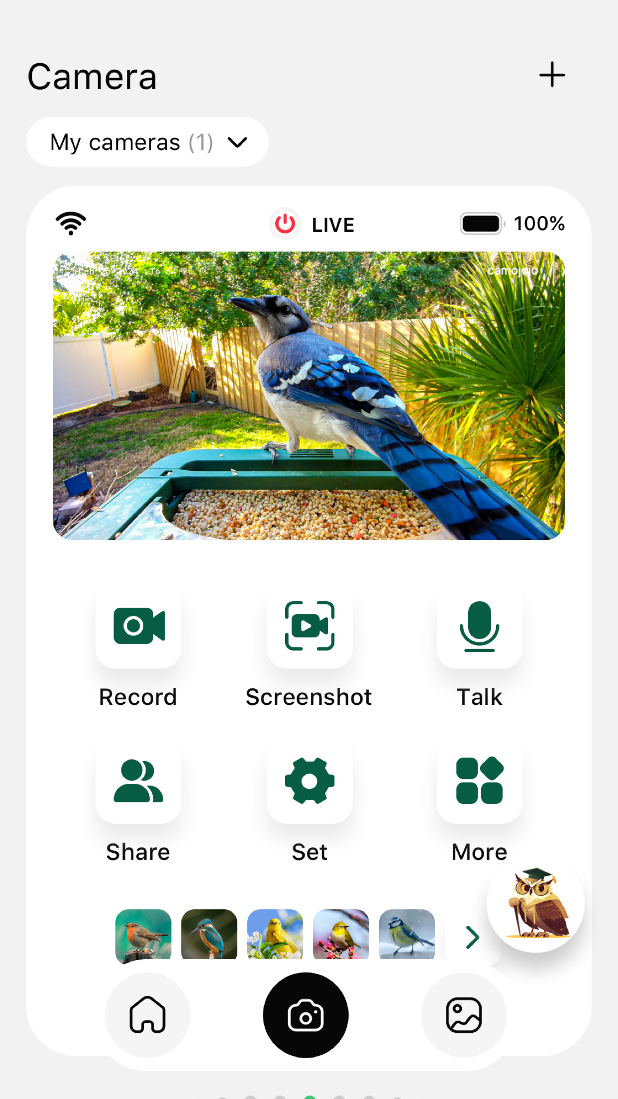 Hibird Cam