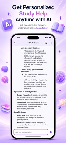 Quiz Meld - AI Study Buddy Screenshot 7 of 7