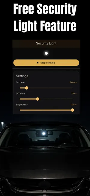BlackShisa: Parking Dashcam screenshot 3