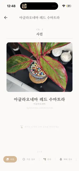 Familia - 패밀리아 screenshot 2