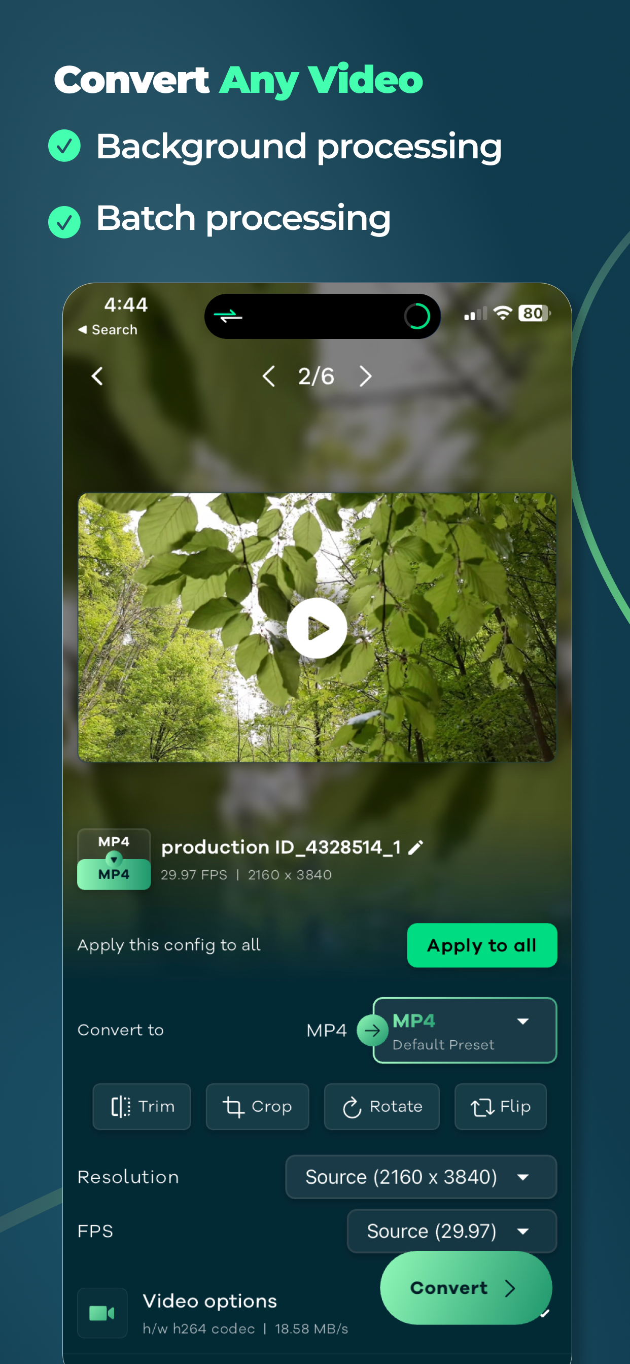 Remux - Video Converter