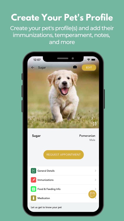 Happy Go Lucky Dog NJ