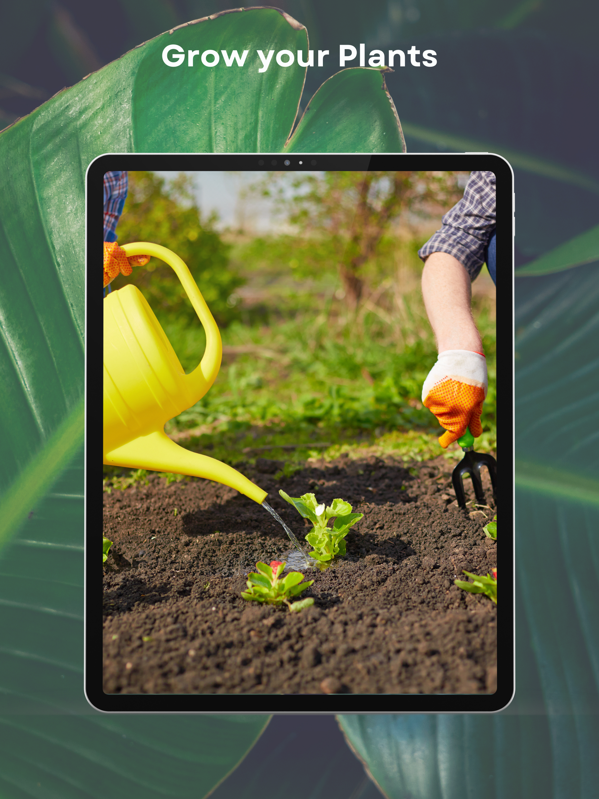 Petals: Plant Identifier AI