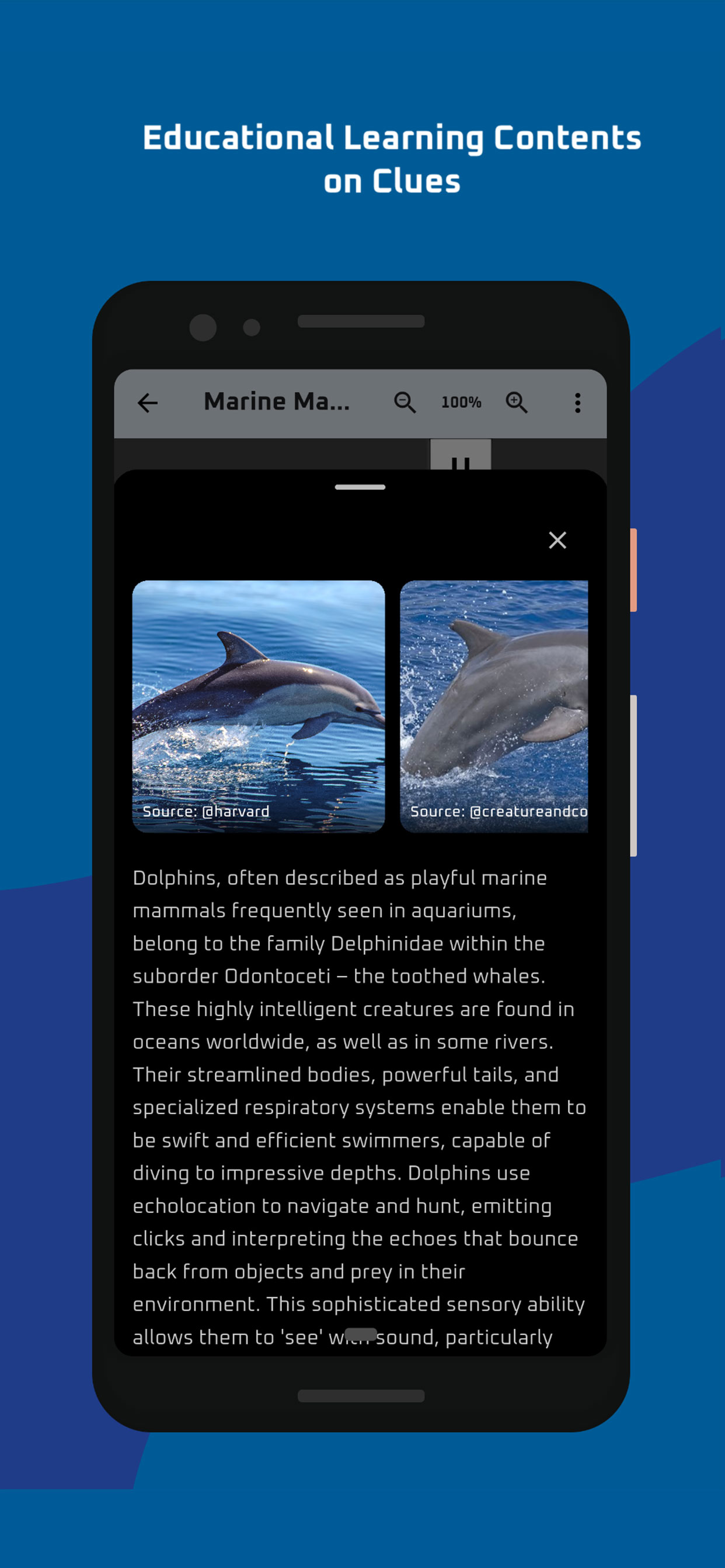 AgenCross: Brain Training Word screenshot 4