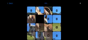 A 15 Puzzle Game Lite screenshot 4