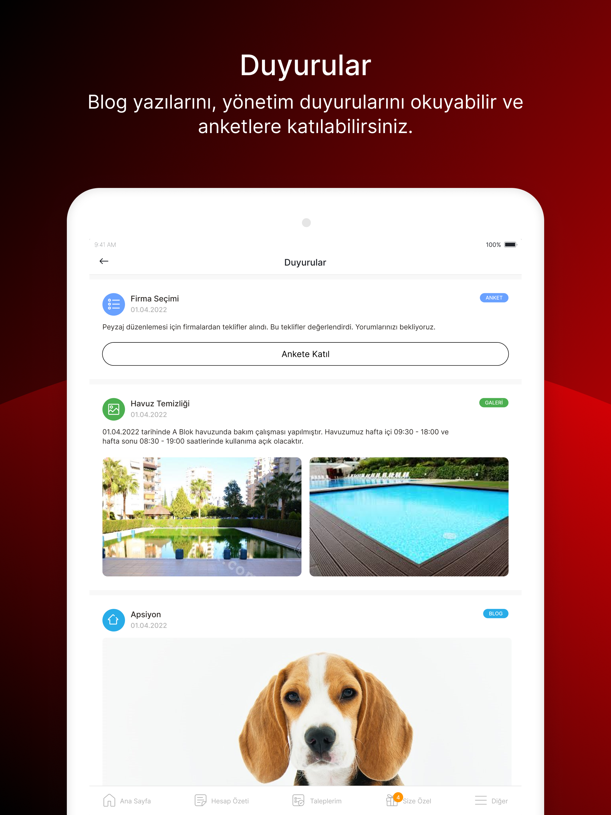 Gürevin Yönetim screenshot 13