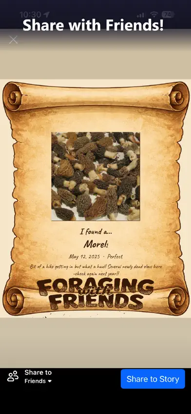 Foraging with Friends screenshot 4