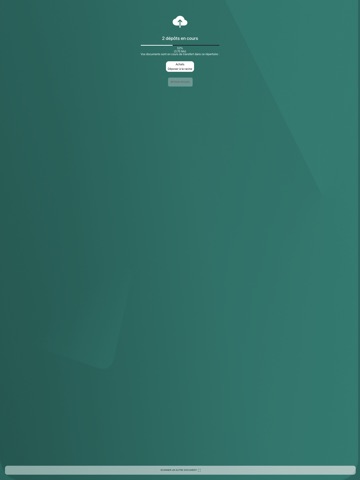 BL ASSOCIES iPad screenshot
