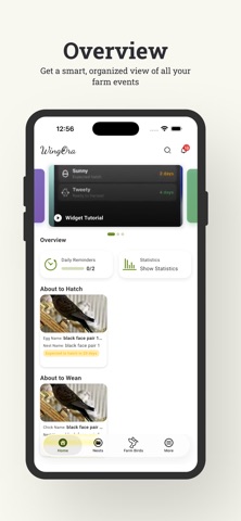 Wingora Screenshot 1 of 4