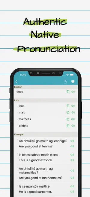 Irish English Dictionary + screenshot 2