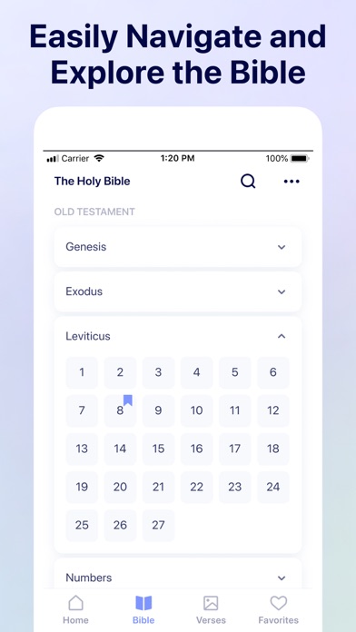 Soulway - Daily Bible Verse Screenshot