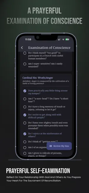 Confession Guide: Catholic Aid screenshot 3