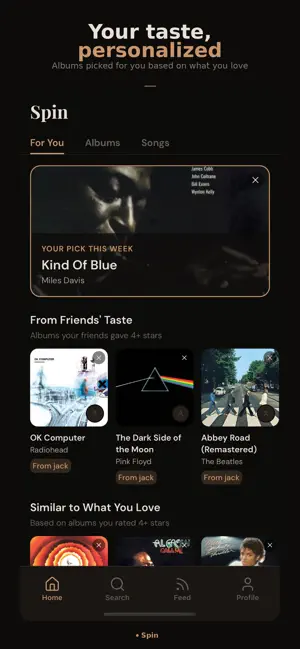 Spin: Music Journal screenshot 2