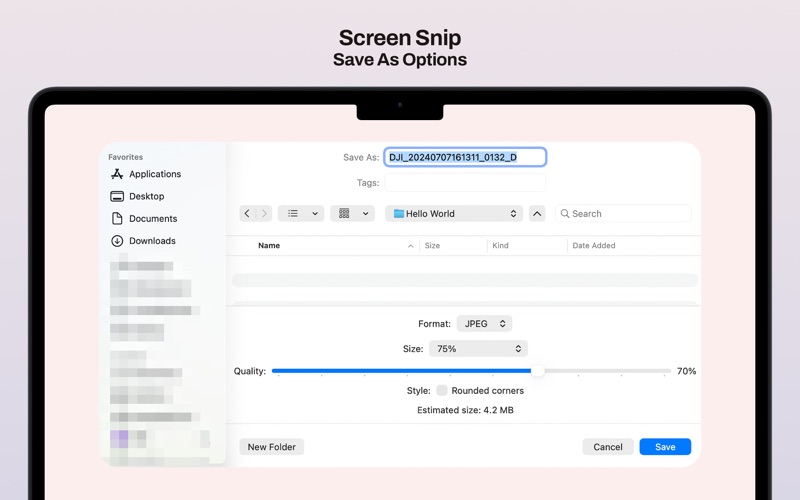 Screen Snip screenshot