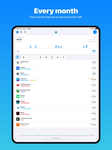 Subscription Tracker: Kelora iPad screenshot