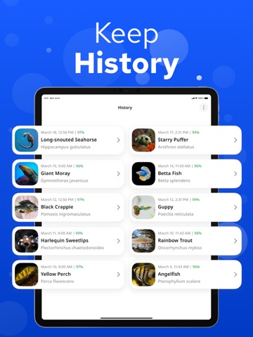 Fish Identifier – Fishium iPad screenshot