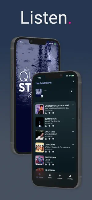 The Quiet Storm screenshot 1