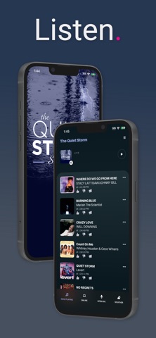 The Quiet Storm Screenshot 1 of 5