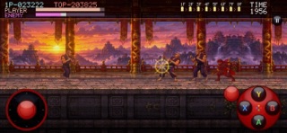Kung Fu - Temple of Red Dragon screenshot 7