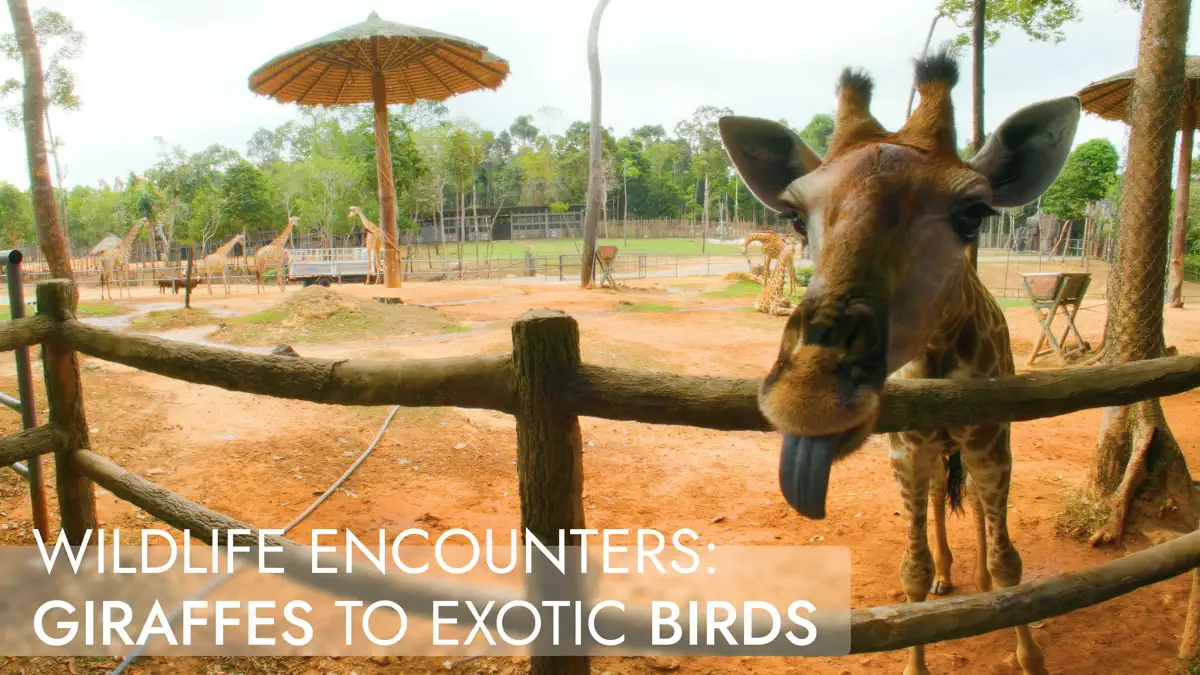 HaloSphere Immersive VR Travel screenshot 6