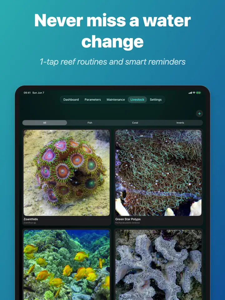 Reeflo on iPad: screenshot 5 of 6