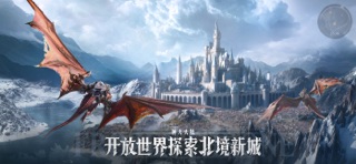 神火大陆：冰雪王座-混乱之始魔幻游戏! screenshot