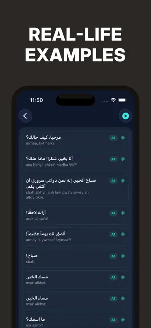 Learn and Speak Arabic screenshot 3
