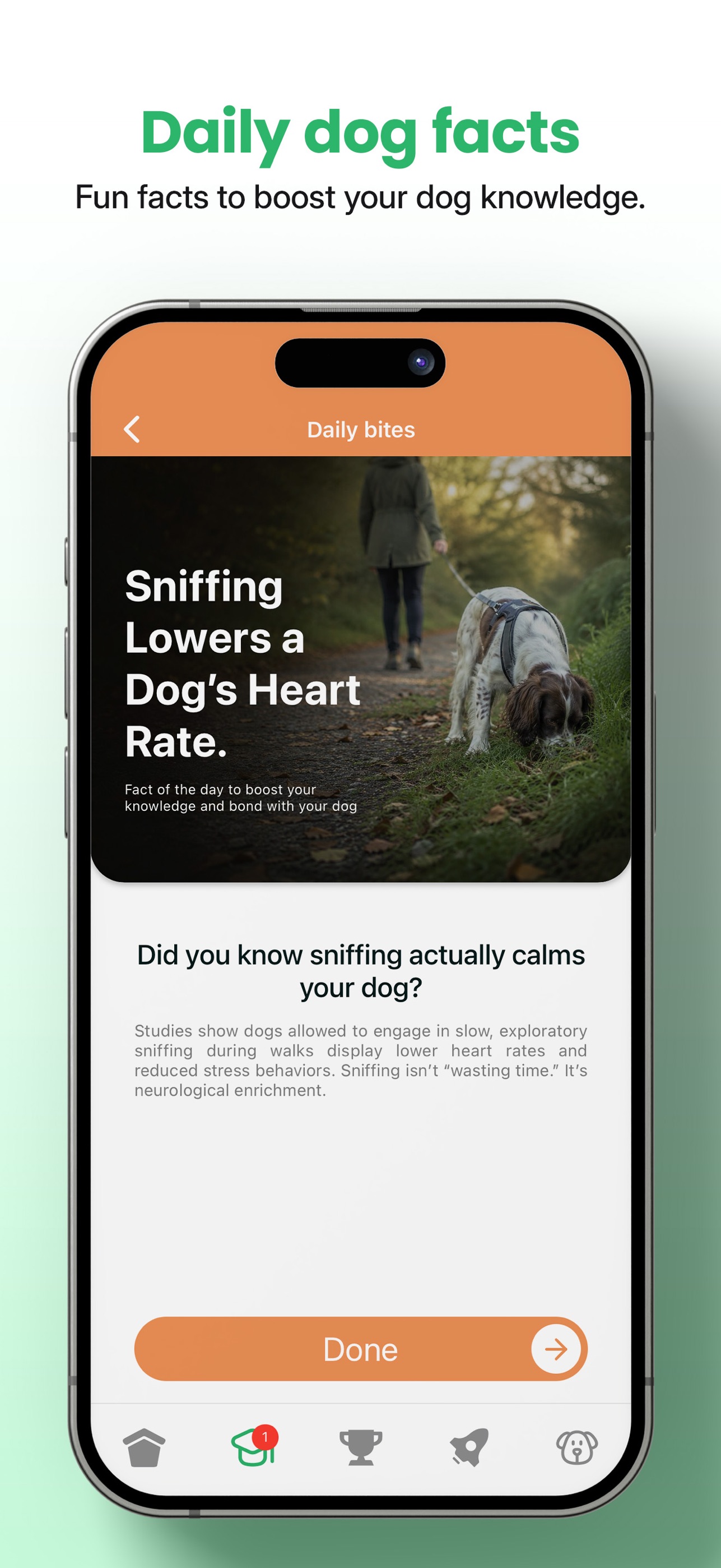 Screenshot 4 of Woofin