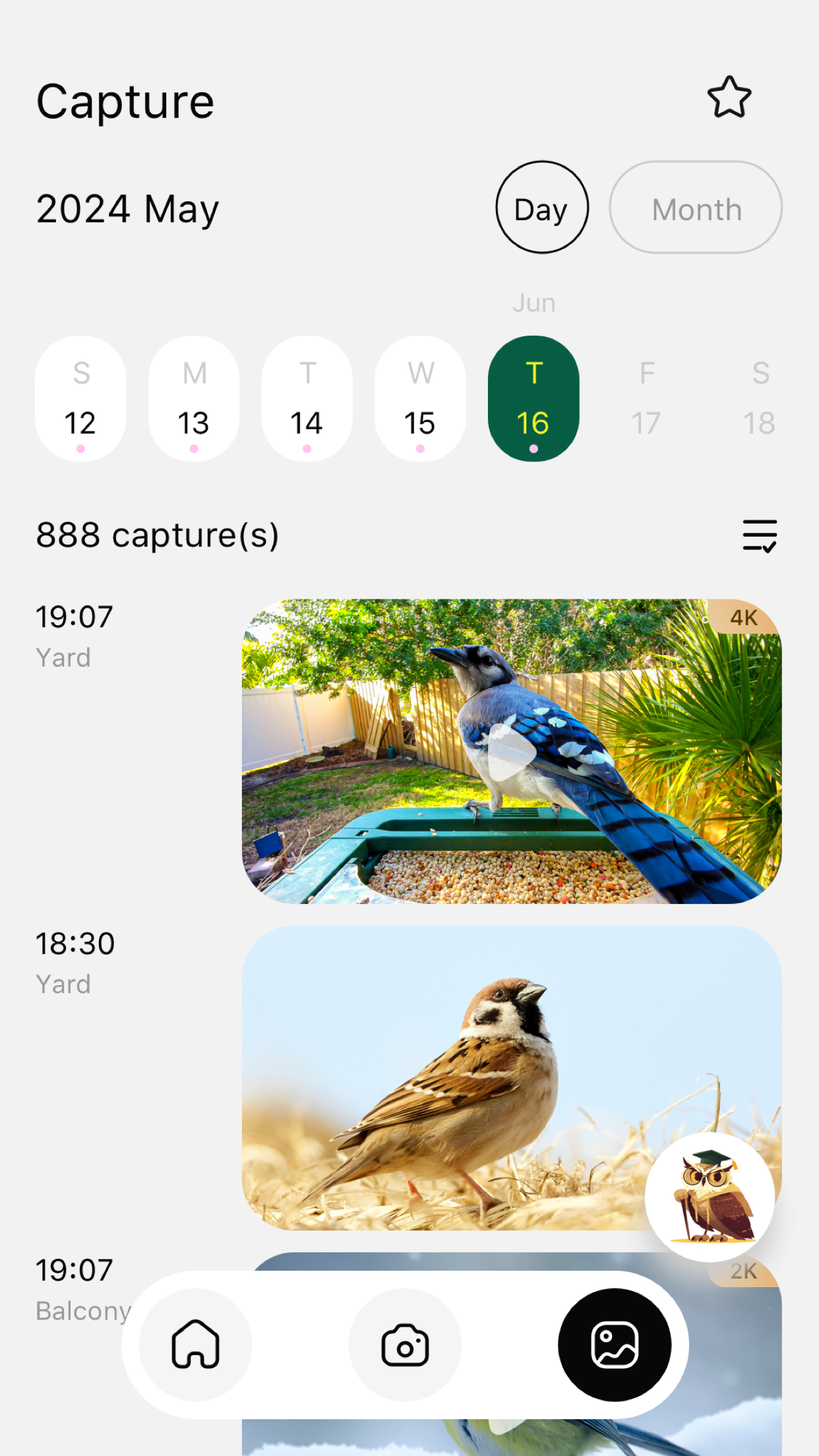 Hibird Cam