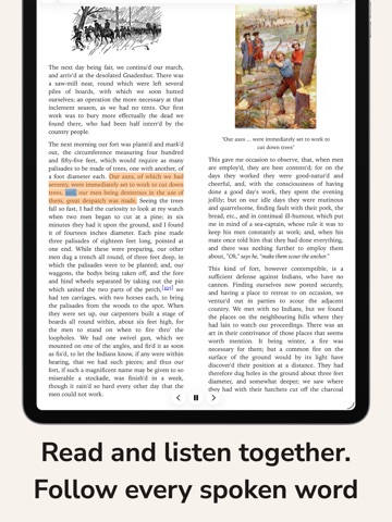 BookWave: EPUB & PDF Reader ipad screenshot 4