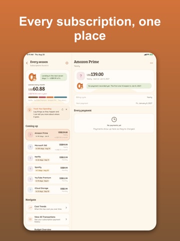 Waisly: Money & Budget Tracker iPad screenshot